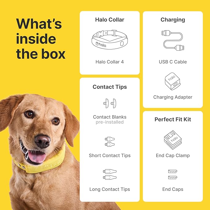 Halo Collar 4, All New GPS Wireless Dog Fence & Dog Training Collar with GPS Tracker, Subscription Required, Waterproof, One Size, Orchid