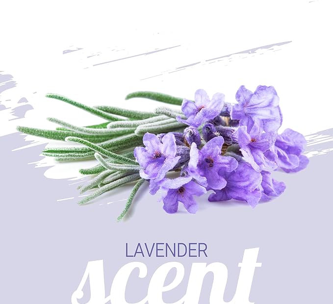 Green Groom French Lavender & Chamomile Aromatherapy Dog Shampoo, 1 Gallon - Soothing and Calming, Chamomile Infused, Natural Ingredients, Professional Grooming Grade, Deodorizing