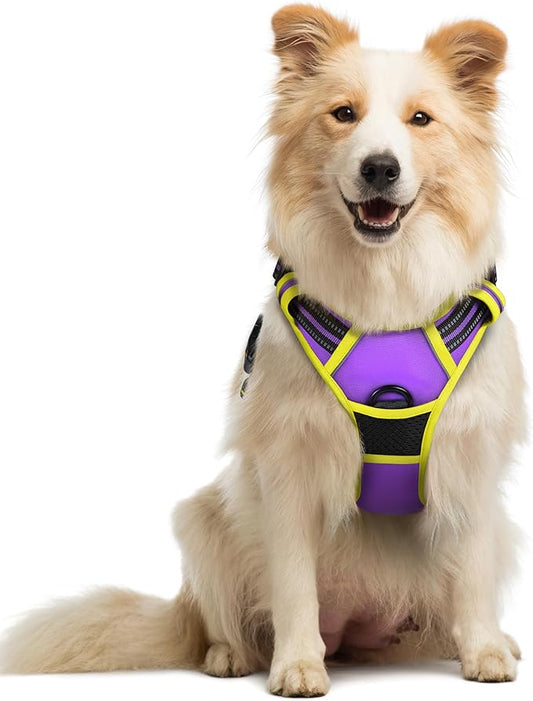 rabbitgoo Dog Harness, No-Pull Pet Harness with 2 Leash Clips, Adjustable Soft Padded Dog Vest, Reflective No-Choke Pet Oxford Vest with Easy Control Handle for Large Dogs, Purple & Yellow, M