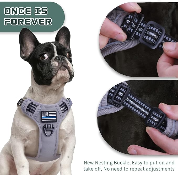 BUMBIN Dog Harness, Tactical Harness for Large Dogs, XS Grey, No Pull with Dog Leash, Adjustable Reflective Pet Walking Vest, MOLLE System, Casual & Style