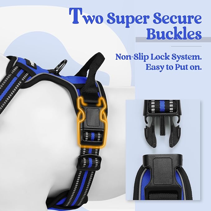 rabbitgoo Dog Harness, No-Pull Pet Harness with 2 Leash Clips, Adjustable Soft Padded Dog Vest, Reflective No-Choke Pet Oxford Vest with Easy Control Handle for Small Dogs, Dazzling Blue, M