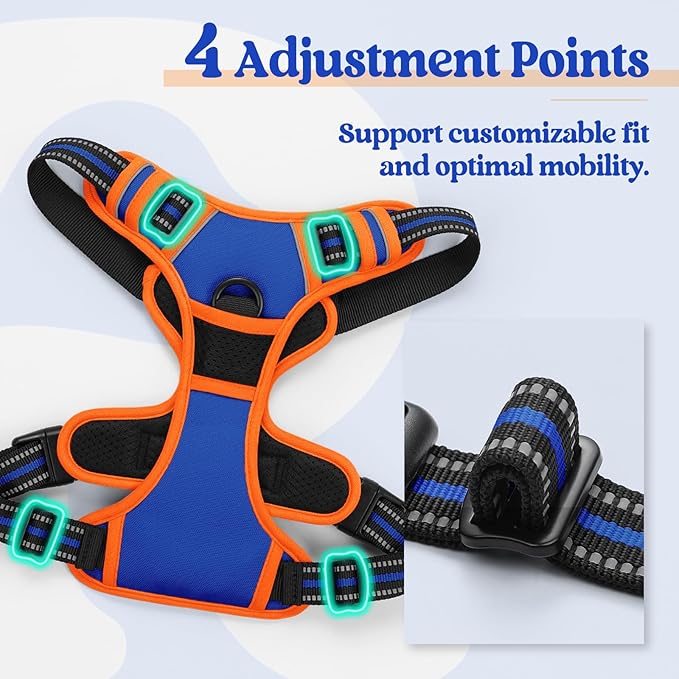 rabbitgoo Dog Harness, No-Pull Pet Harness with 2 Leash Clips, Adjustable Soft Padded Dog Vest, Reflective No-Choke Pet Oxford Vest with Easy Control Handle for Large Dogs, Blue & Orange, L
