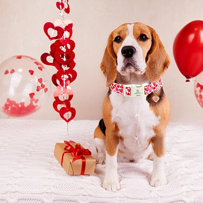 Lionheart glory Valentine's Day Collar, Red Hearts Dog Collar for Large Cute Dog Collars Spring Female Pet Gift Adjustable Heavy-Duty Holiday Dog Collar Plastic Buckle