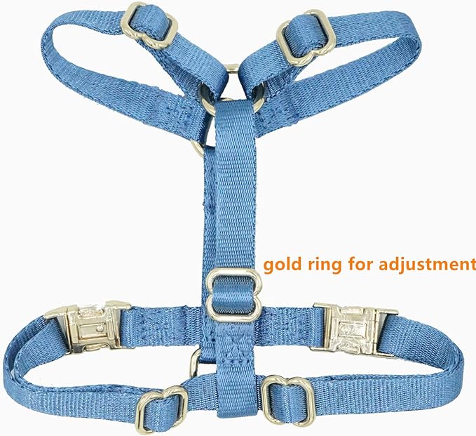 Nylon No Pull Dog Harness with Gold Metal Buckles,Easy Walking and Training Dog Harness (Air Blue, L)