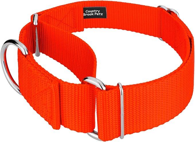 Country Brook Petz 1 1/2 Inch Martingale Heavy Duty Nylon Adjustable Dog Collar for Small, Medium, Large Breeds - Vibrant 17 Color Selection (Hot Orange, Large)