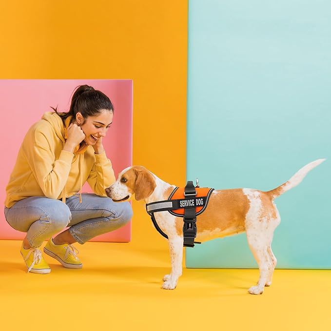 Dogline Unimax Service Dog Harness Vest with Removable Service Dog Patches Adjustable Straps Breathable Neoprene for Medical Identification Training Dogs Girth 36 to 46 in Orange