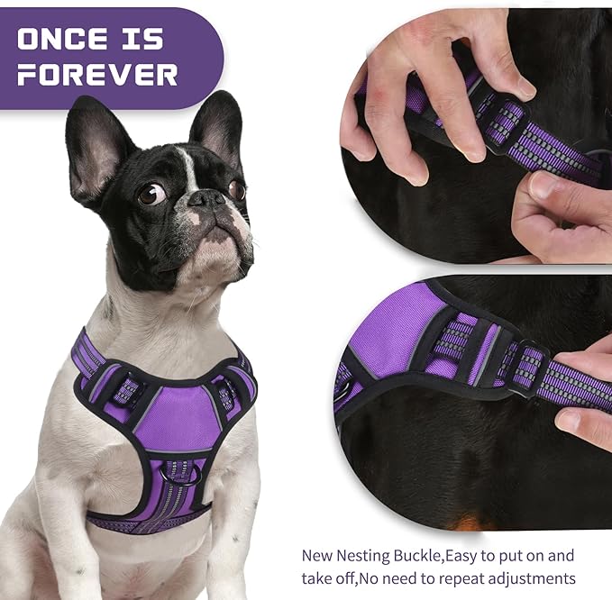 BUMBIN Dog Harness for Large Dogs, No Pull Adjustable No Choke Pet Vest with Dog Leash Fit Smart Reflective Pet Walking Harness for Training Easy Control Soft Handle Purple XL