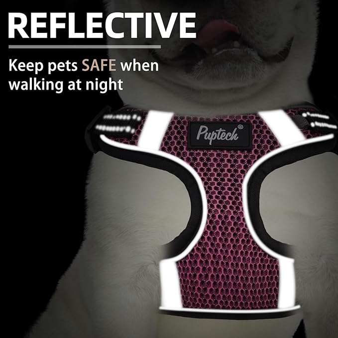 PUPTECK No Pull Dog Harness and Leash Set Reflective No Choke Step in Puppy Halter for XS Small and Medium Sized Dogs, HotPink, Breathable Mesh, M