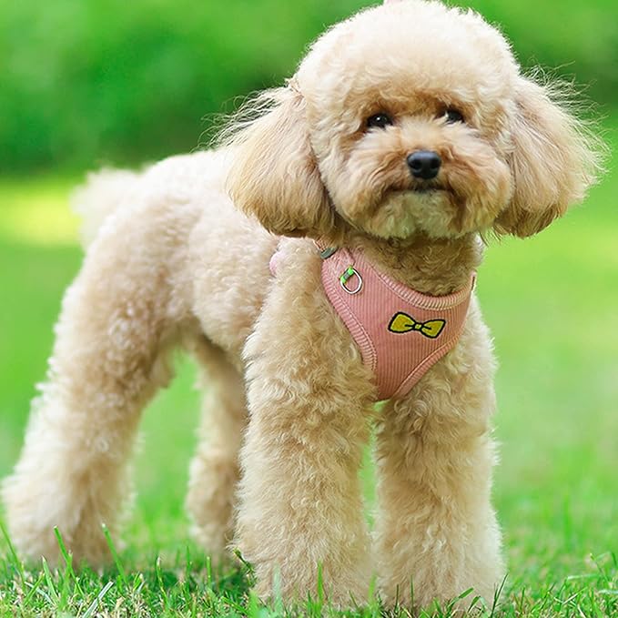 No Pull Dog Harness with Leash Pet Soft Vest Harness and Leash Set Dog Cat No Choke Escape Proof Harness Reflective Step in Harness for Small Medium Dogs Cats (Pink, Small)
