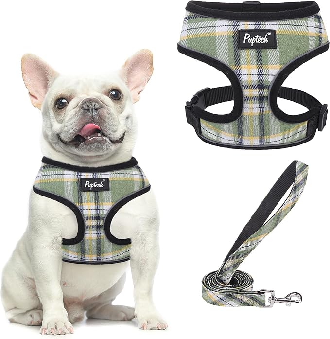 PUPTECK Soft Mesh Dog Harness and Leash Set Pet Puppy Cat Comfort Padded Vest No Pull Harnesses, Green/Yellow, L