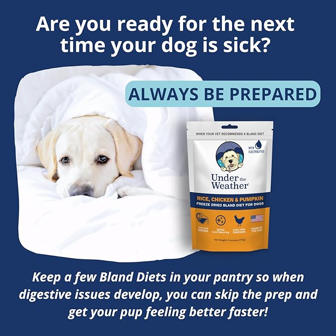 Under the Weather Bland Diet for Dogs | Easy to Digest for Sick Dogs |Always Be Ready | Contains Electrolytes - All Natural Freeze Dried 100% Human Grade Meats | 6 Pack - Rice, Chicken & Pumpkin - 6oz