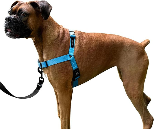 ShawnCo Dream Walk No-Pull Dog Harness- Adjustable, Comfortable, Easy to Use Pet Halter to Help Stop Pulling for Small, Medium and Large Dogs (Oceanic Blue, XS)