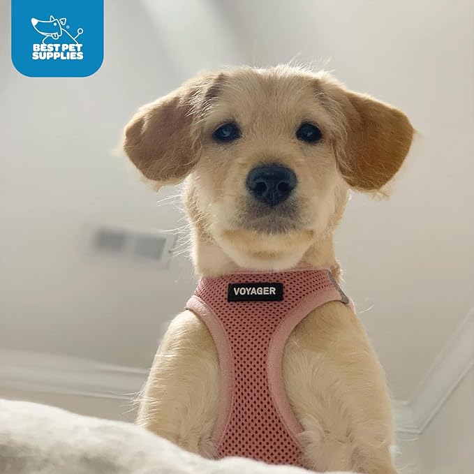 Voyager Step-in Air Dog Harness - All Weather Mesh, Reflective, No Pull Harness for Small, Medium Dogs, Cats - Secure with Hook & Loop Fastener, Buckle, Double D-Rings - Pink, XS