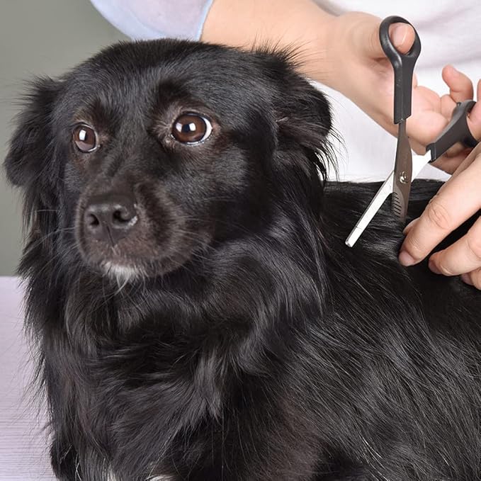 Professional Pets Grooming Scissors Set Stainless Steel Dog Eye scissors Thinning Shears for Dogs and Cats, Home pet grooming Tool kit 5 Ink
