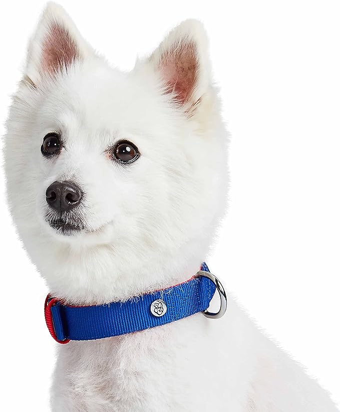 Blueberry Pet Iconic Color-Block Adjustable Dog Collar with Metal Buckle, Navy Blue and Red, Neck 17-20.5", for Large Breed