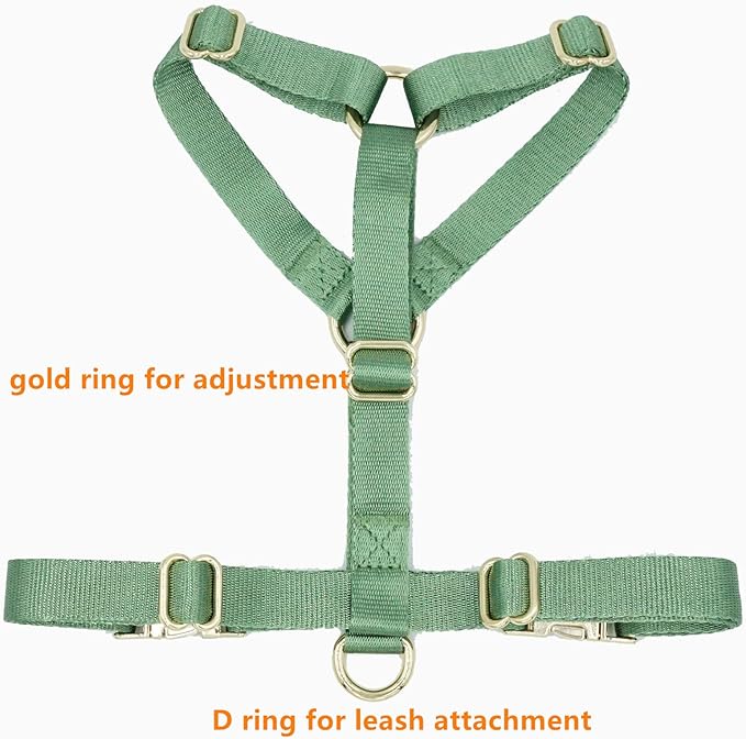 Nylon No Pull Dog Harness with Gold Metal Buckles,Easy Walking and Training Dog Harness (Sage Green, XS)
