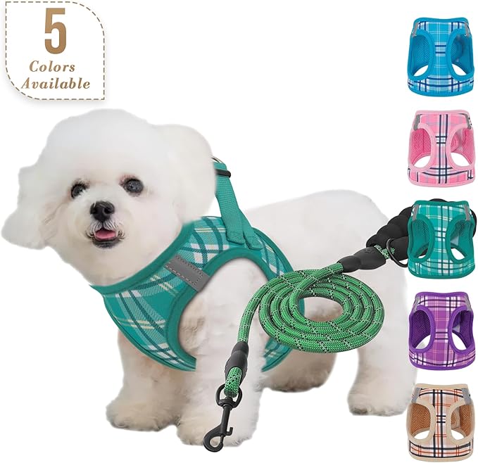 Athena Collection Small Dog Harness with 5 ft Leash, Step-in Dog Harness Leash Set Small No Pull Dog Vest Harness with Reflective Strips Adjustable Velcro, Easy Walk Puppy Harness, Green