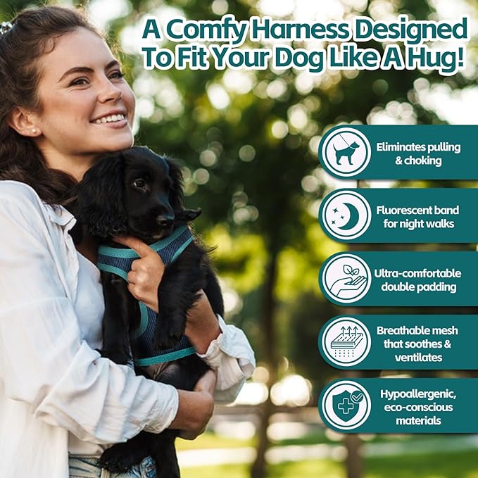 Dog Harness with Multifunction Dog Leash,No Pull Reflective Step-in Harness for Soft Adjustable No Choke Escape Proof,Easy Walk Dog Harness for Medium Dogs (Blue&Green, M)
