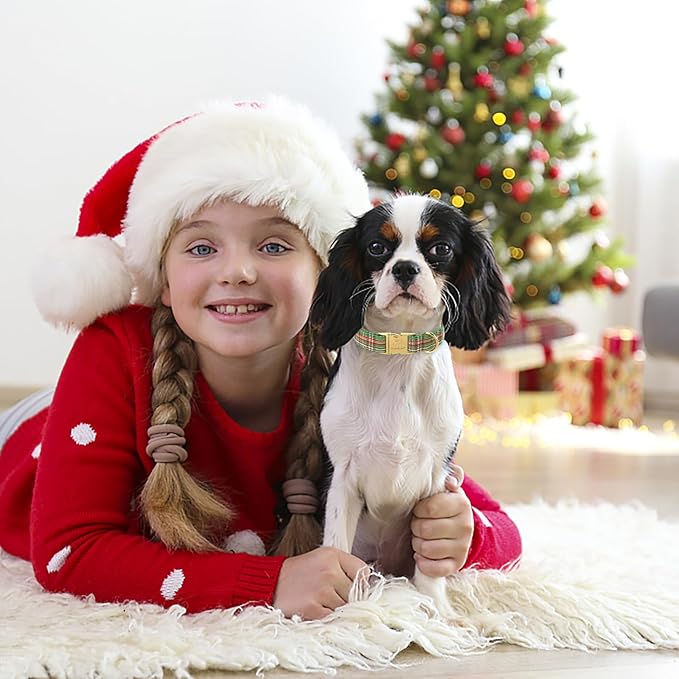 Christmas Dog Collars for Large Dog,Green Dog Collar with Safety Metal Buckle Adjustable Puppy Collars for Small Medium Dog,Boy&Girl&Male&Female Dog Gift,L-16-24"