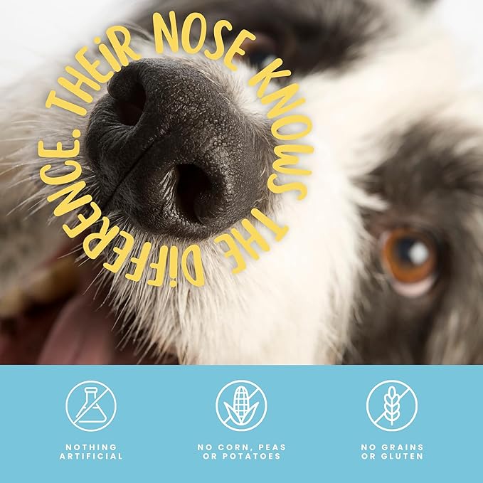 hotspot pets Premium Medium Whole Deer Antlers for Dogs - 5+ Inch Medium Sized Deer Antler Dog Chews - Naturally Shed for Small and Medium Breed Aggressive Chewers - Sourced in USA (Pack of 1)