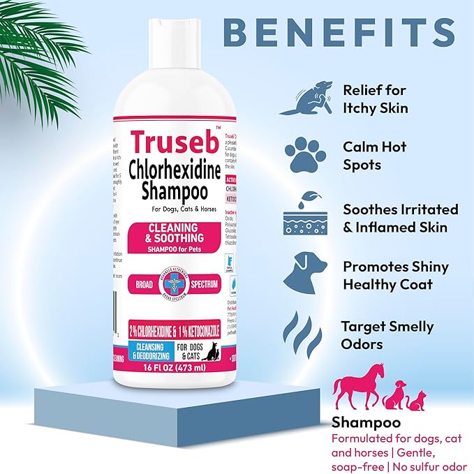 Truseb Topical Ketoconazole and Chlorhexidine Shampoo for Dogs, Cats, and Horses with Aloe - 32 oz (Ketoconazole & Chlorhexidine Shampoo, 32 oz)