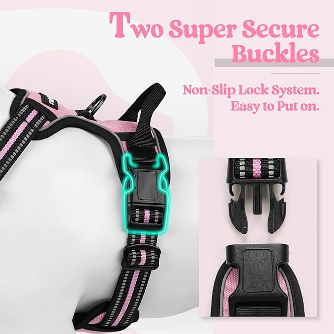 rabbitgoo No-Pull Pet Harness with 2 Leash Clips, Adjustable Soft Padded, Reflective No-Choke Pet Oxford Vest with Easy Control Handle for Large Dogs, Pink, L