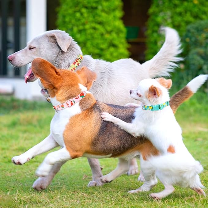 azuza 3 Pack Fruit Design Dog Collars Comfortable and Adjustable Nylon Dog Collars for Large Dogs, L (18-26inch)，Strawberry，Lemon and Cherry