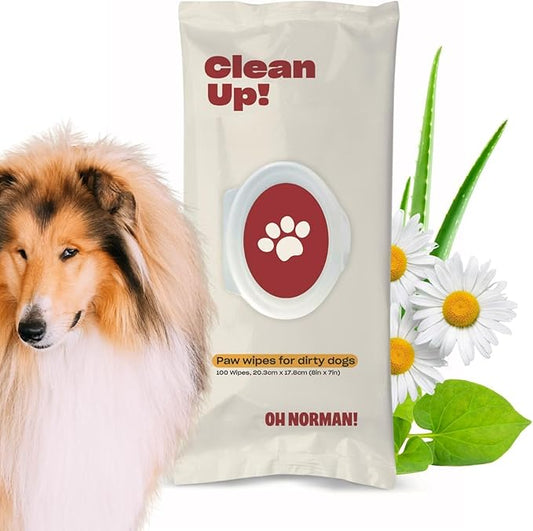 Clean Up Paw Wipes for Dogs (8x7) by Kaley Cuoco, Gentle Pet Grooming Wipes, Plant-Based and Unscented, 100 Count
