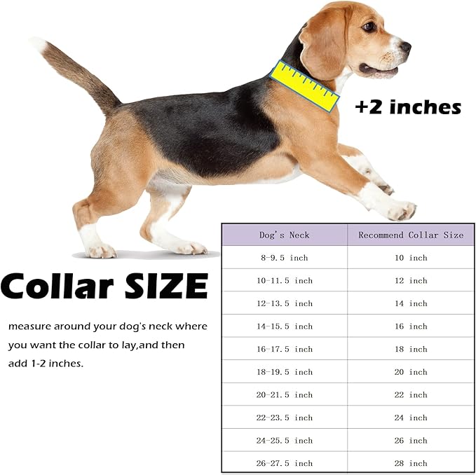 Strong Stainless Steel Silver Cuban Link Chain Dog Collar,Pet Necklace Walking Collar for Small Medium Dogs(Length - 16'')