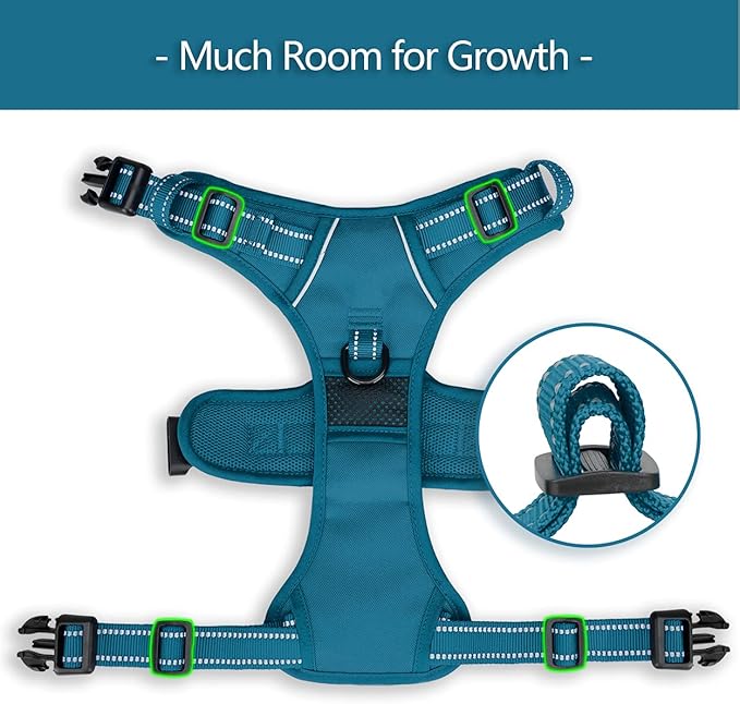 PoyPet No Pull Dog Harness, No Choke Reflective Dog Vest, Adjustable Pet Harnesses with 2 Leash Attachments with Easy Control Padded Handle for Small Medium Large Dogs(Tumalo Teal,XL)