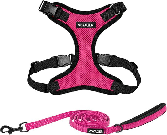 Voyager Step-in Lock Dog Harness w Reflective Dog Leash Combo Set with Neoprene Handle 5ft - Supports Small, Medium and Large Breed Puppies/Cats by Best Pet Supplies - Fuchsia/Black Trim, L