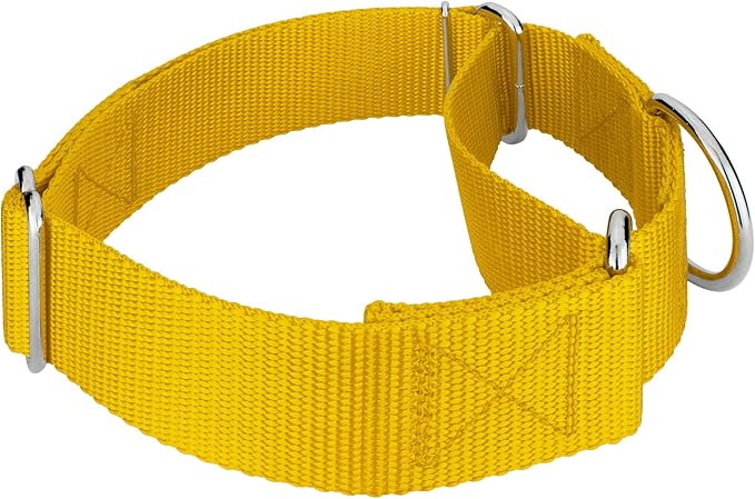 Country Brook Petz 1 1/2 Inch Martingale Heavy Duty Nylon Adjustable Dog Collar for Small, Medium, Large Breeds - Vibrant 17 Color Selection (Gold, Medium)