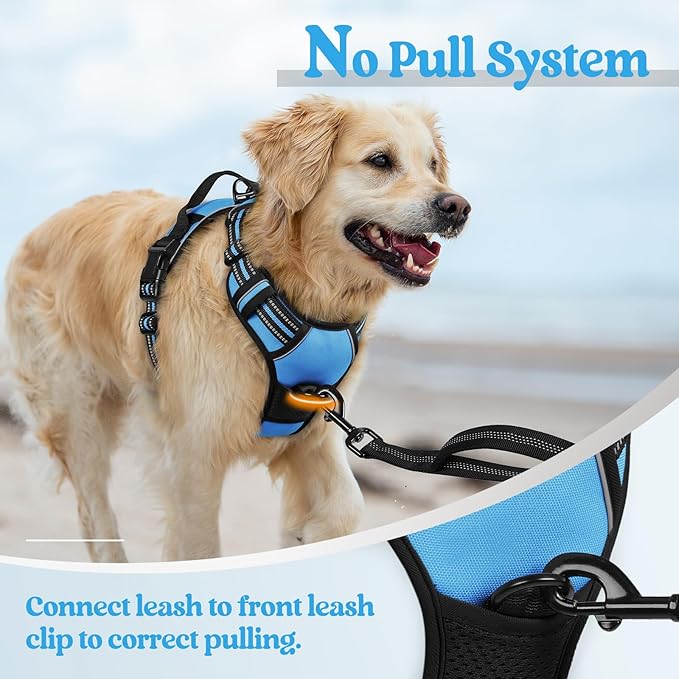 rabbitgoo Dog Harness, No-Pull Pet Harness with 2 Leash Clips, Adjustable Soft Padded Dog Vest, Reflective No-Choke Pet Oxford Vest with Easy Control Handle for Medium Dogs, Blue, M