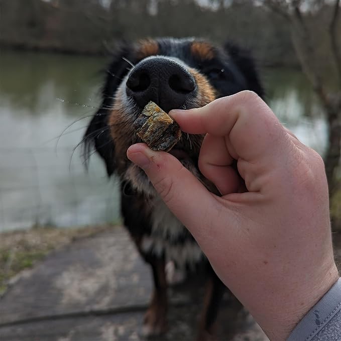 SKIPPER'S Salmon Skin Cubes - 100% Salmon Skin Grain Free & Hypoallergenic Cubes for Dogs, All Natural & Healthy Dog Treats, Omega 3 & 6 Oil, Great for Skin, Coat & Joints | (2.5 Oz)