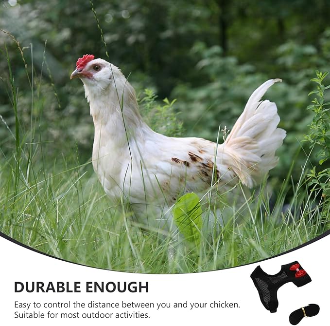 Balacoo Chicken Harness - Chicken Traction Rope Elastic Breathable Adjustable Pet Harness Vest Washable Xmas Pet Set for Chicks, Geese, Hen, (Black M)