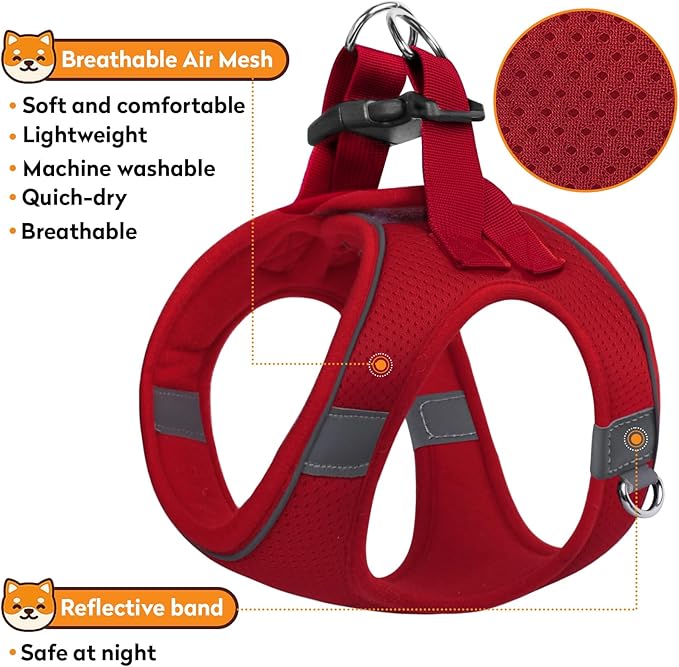 Dog Harness with Leash Set, No-Pull Step-in Reflective Pet Harness with 1 Leash Clips, Adjustable Soft Padded Easy Walk Dog Vest for Small Medium Large Dogs, Cats(Bright Red, Small)