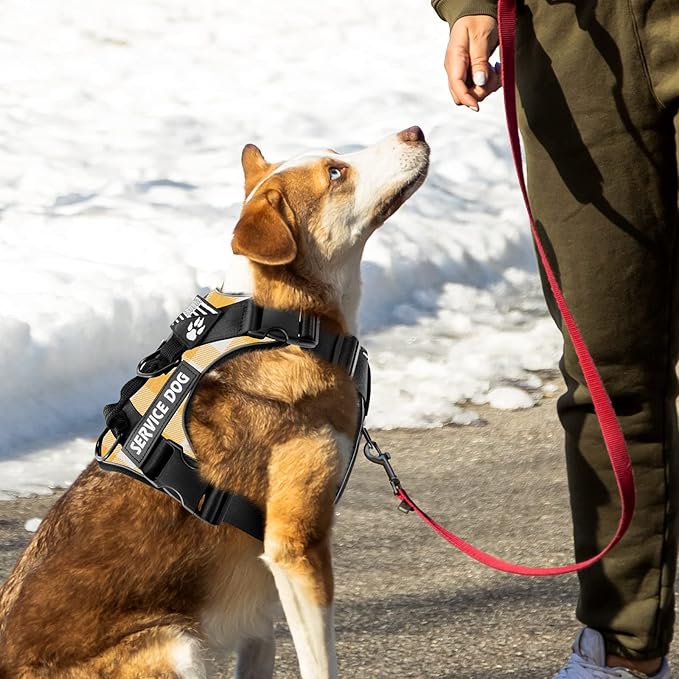 Demigreat Service Dog Harness, Reflective Dog Vest Harness with 5 PCS Patches, Adjustable Soft Oxford Pet Harness, Inner Layer Mesh, Easy to Control for Dogs