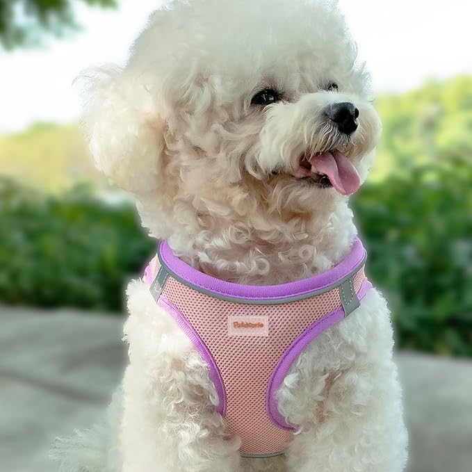 Soft Mesh Dog Harness and Leash Set, No-Chock Step-in Reflective Breathable Lightweight Easy Walk Escape Proof Vest Harnesses with Safety Buckle for Small Medium Dogs, Cats (Purple, Large)