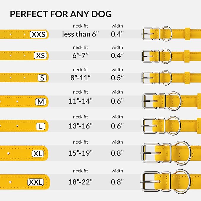 CollarDirect Rolled Leather Dog Collar, Soft Padded Round Puppy Collar, Handmade Genuine Leather Collar Dog Small Large Cat Collars 13 Colors (11-14 Inch, Yellow Smooth)