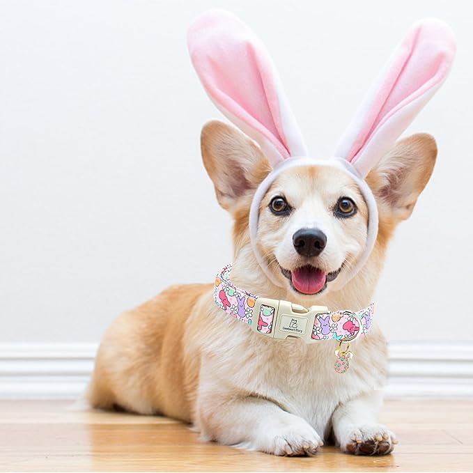 Lionheart glory Easter Dog Collar Colorful Collar for X-Small Dog Collars Easter Egg Print Dog Collars Spring Female or Male Pet Gift Adjustable Heavy-Duty Puppy Collar Holiday
