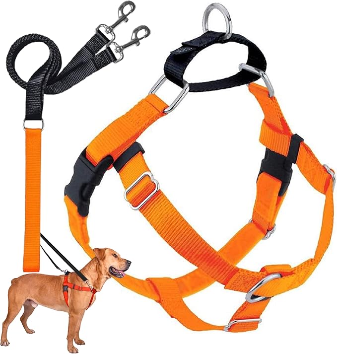 2 Hounds Design Freedom No Pull Dog Harness | Comfortable Control for Easy Walking |Adjustable Dog Harness and Leash Set | Small, Medium & Large Dogs | Made in USA | Solid Colors | 1" LG Neon Orange