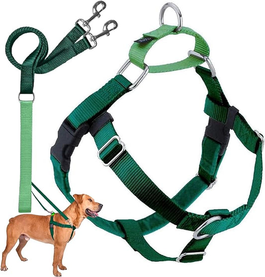 2 Hounds Design Freedom No Pull Dog Harness | Comfortable Control for Easy Walking |Adjustable Dog Harness and Leash Set | Small, Medium & Large Dogs | Made in USA | Solid Colors | 1" LG Kelly Green