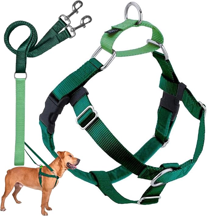 2 Hounds Design Freedom No Pull Dog Harness | Comfortable Control for Easy Walking |Adjustable Dog Harness and Leash Set | Small, Medium & Large Dogs | Made in USA | Solid Colors | 1" XL Kelly Green