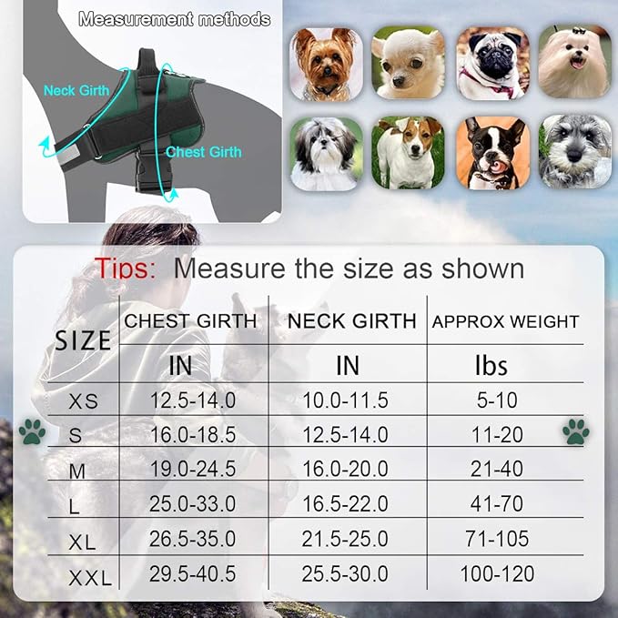 Bolux Dog Harness, No-Pull Reflective Dog Vest, Breathable Adjustable Pet Harness with Handle for Outdoor Walking - No More Pulling, Tugging or Choking (Dark Green, S)
