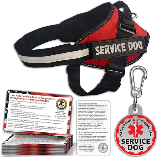 Service Dog Vest + ID Tag + 50 ADA Information Cards - Service Dog Harness w Patch in Sizes X Small to XX Large, Metal Dog Tag has Durable Clip, Service Animal Information Cards. ESA Accessory Set