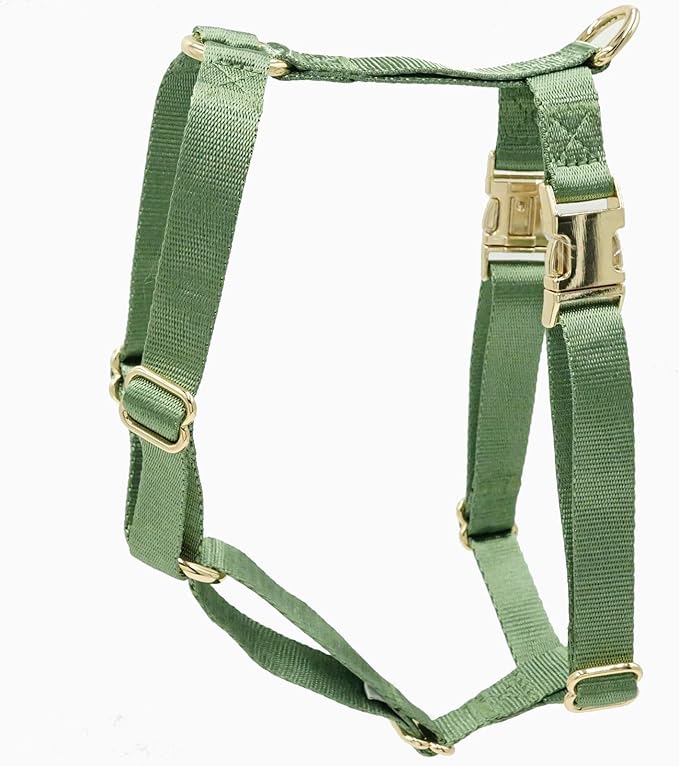 Nylon No Pull Dog Harness with Gold Metal Buckles,Easy Walking and Training Dog Harness (Sage Green, S)