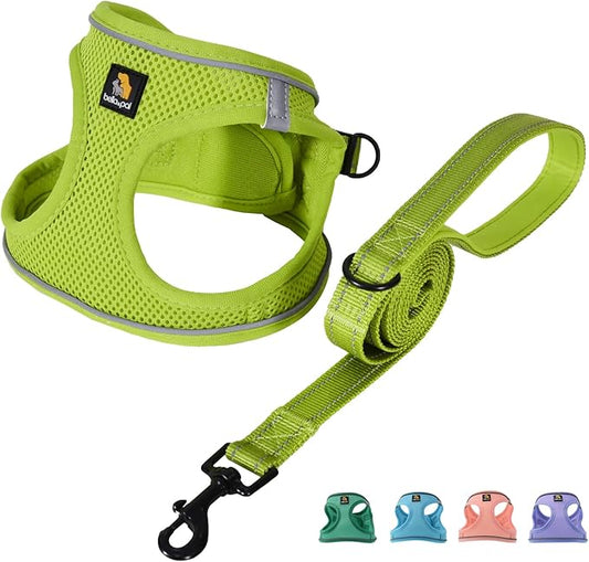 BELLA & PAL Puppy Harness with Leash Set, Dog Harness for Small Dogs No Pull, Dog Leash for Small Dogs, Step in Harness for Extra Small Dogs, Avocado Green Harness, S