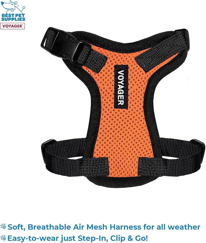 Voyager Step-in Lock Adjustable Cat Harness w. Cat Leash Combo Set with Neoprene Handle 5ft - Supports Small, Medium and Large Breed Cats by Best Pet Supplies - Orange/Black Trim, XXXS
