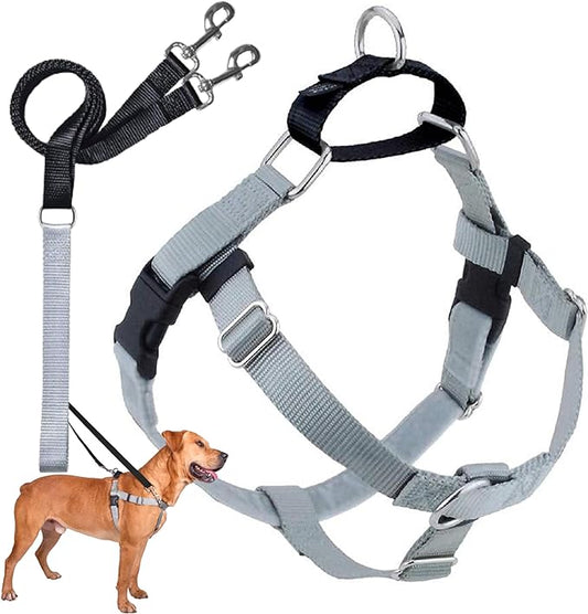 2 Hounds Design Freedom No Pull Dog Harness | Comfortable Control for Easy Walking |Adjustable Dog Harness and Leash Set | Small, Medium & Large Dogs | Made in USA | Solid Colors | 5/8" XS Silver