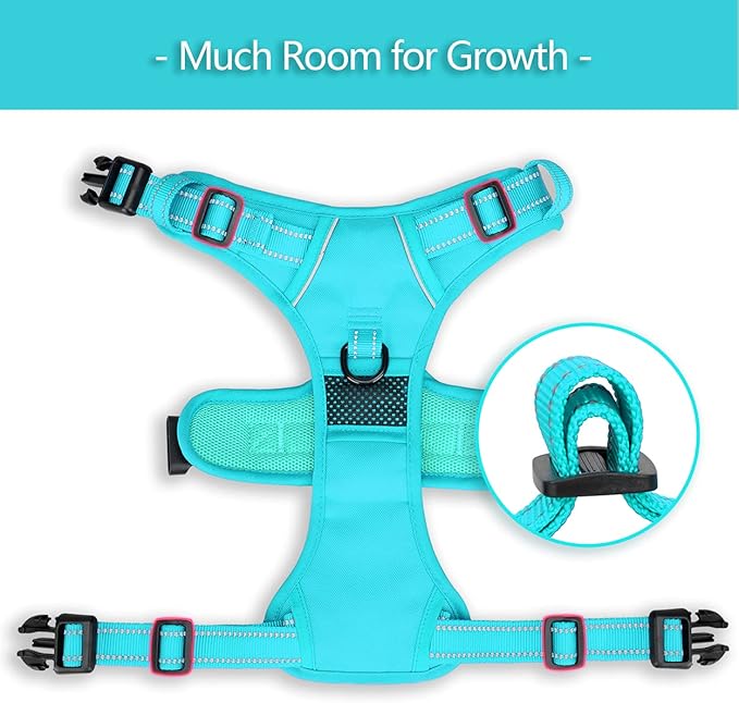 PoyPet No Pull Dog Harness, No Choke Reflective Dog Vest, Adjustable Pet Harnesses with Easy Control Padded Handle for Small Medium Large Dogs(Mint Blue Matching Trim,L)